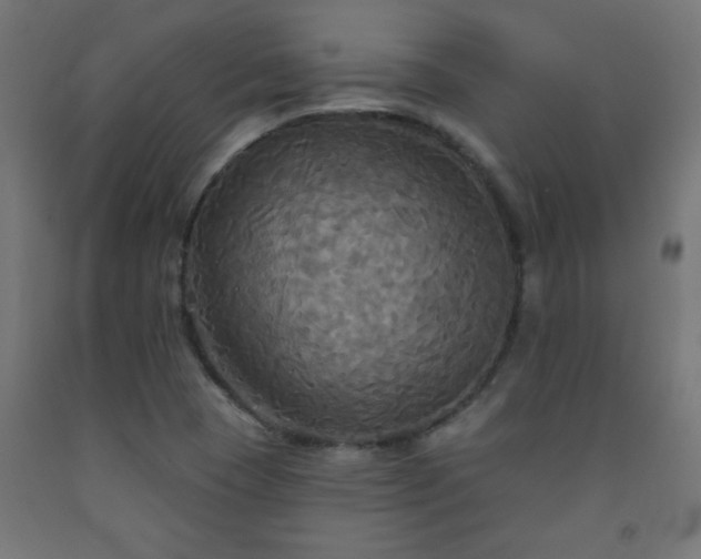 X0000093251409200710031554