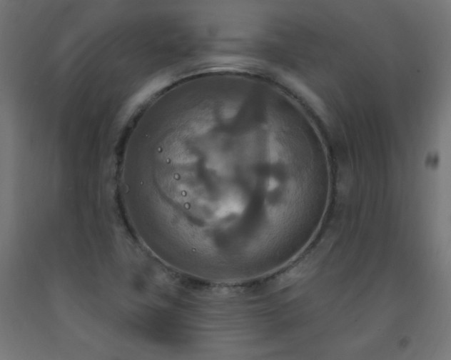 X0000093251411200710031554