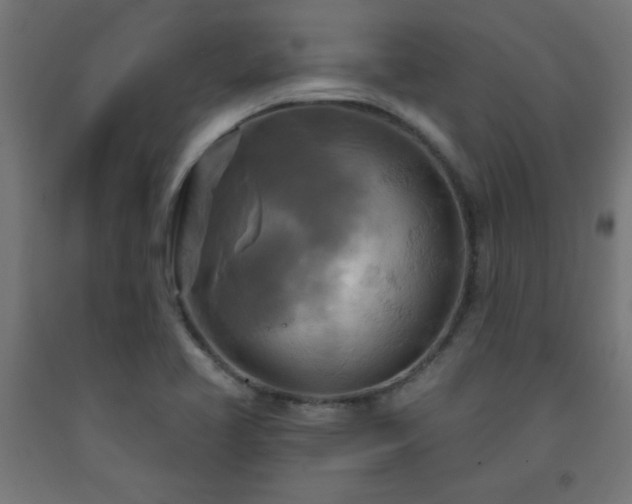 X0000093251413200710031554