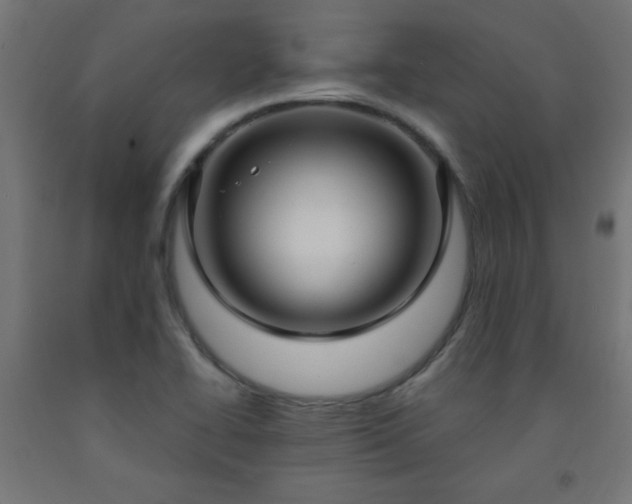 X0000093251414200710031554