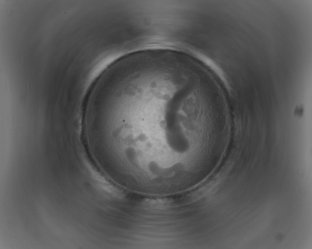 X0000093251415200710031554