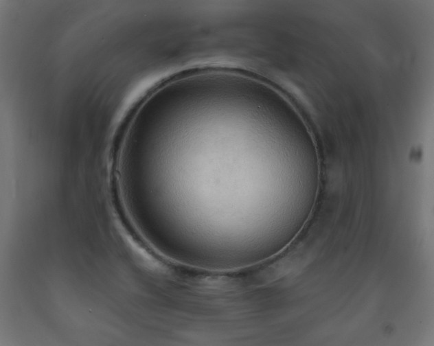 X0000093251416200710031554