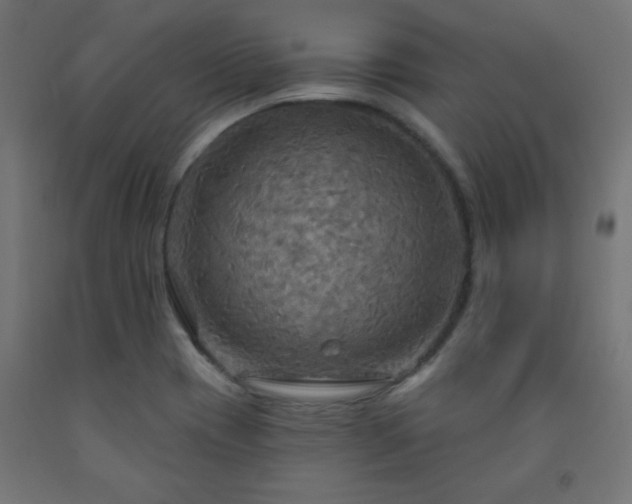 X0000093251417200710031554