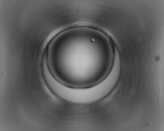 X0000093251418200710031554