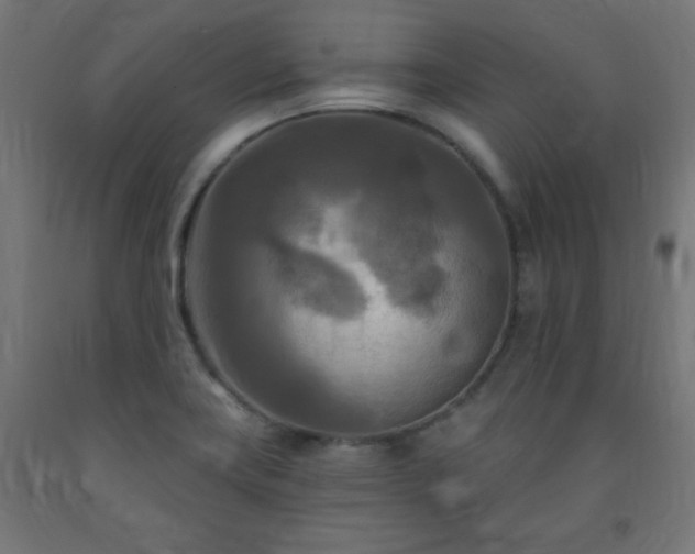 X0000093251419200710031554