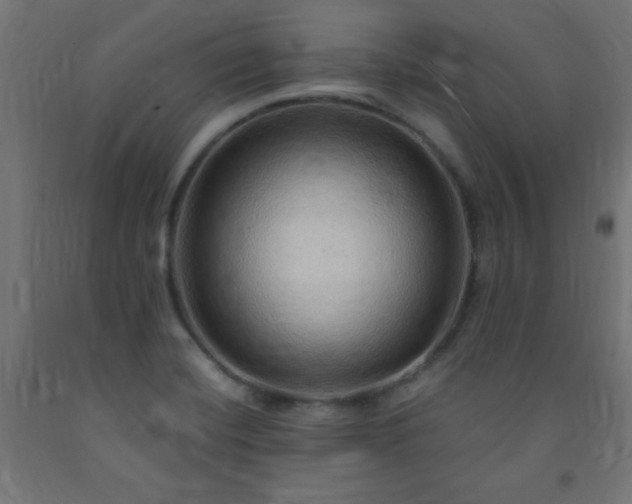 X0000093251420200710031554