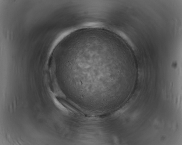 X0000093251421200710031554