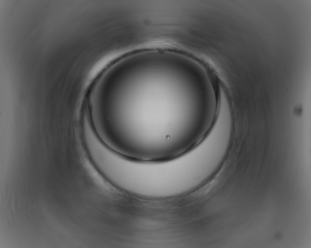 X0000093251422200710031554