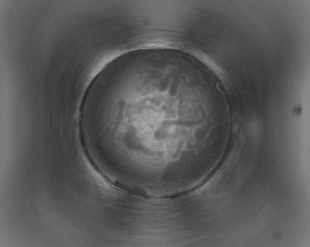 X0000093251423200710031554