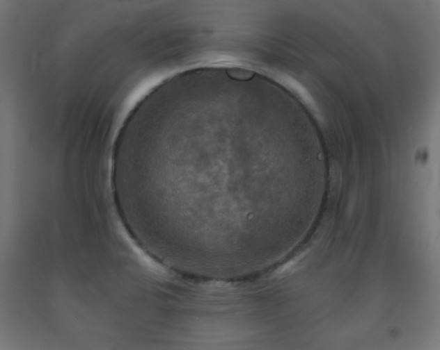 X0000093251424200710031554