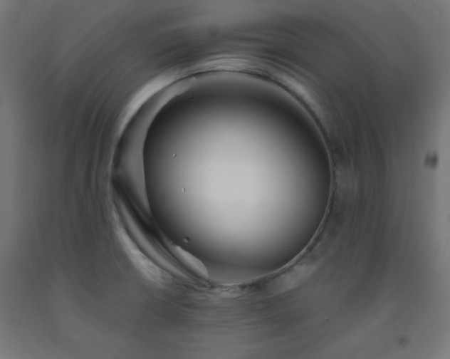 X0000093251426200710031554