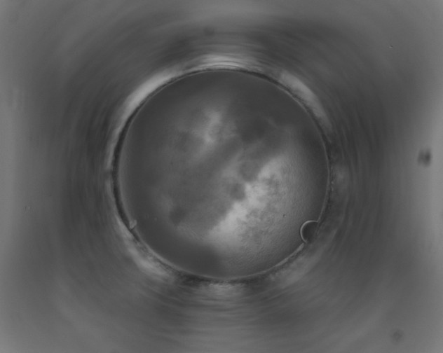 X0000093251427200710031554