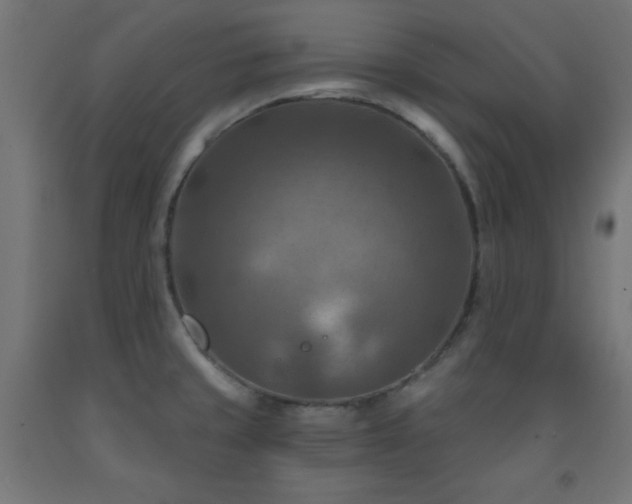 X0000093251429200710031554