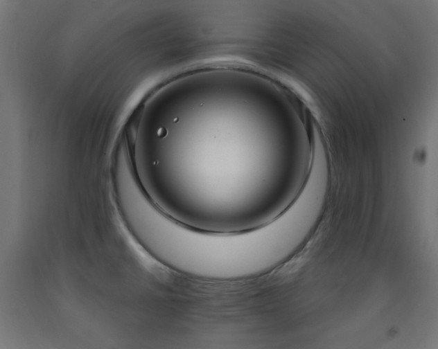 X0000093251430200710031554