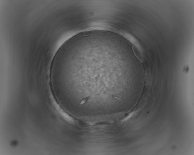 X0000093251431200710031554