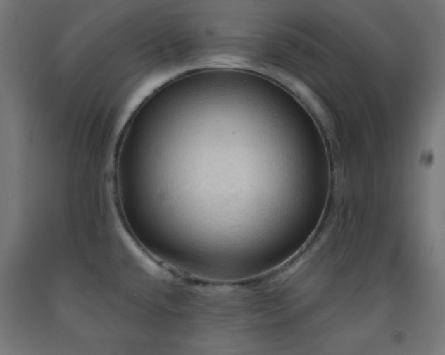 X0000093251432200710031554