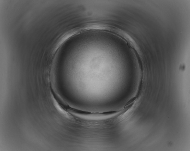 X0000093251433200710031554