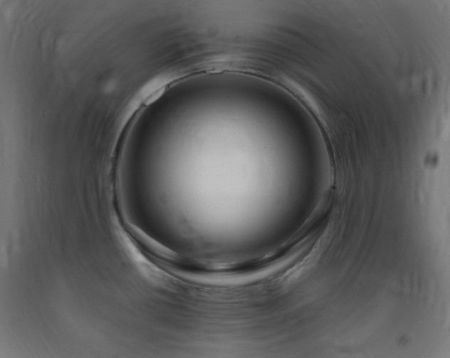 X0000093251434200710031554