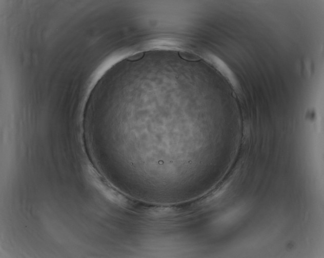 X0000093251435200710031554