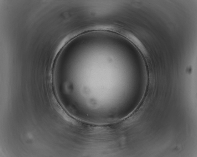 X0000093251436200710031554