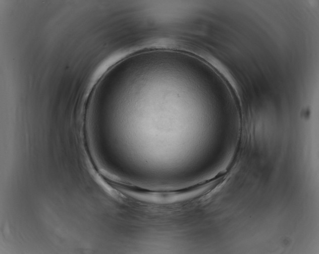 X0000093251437200710031554