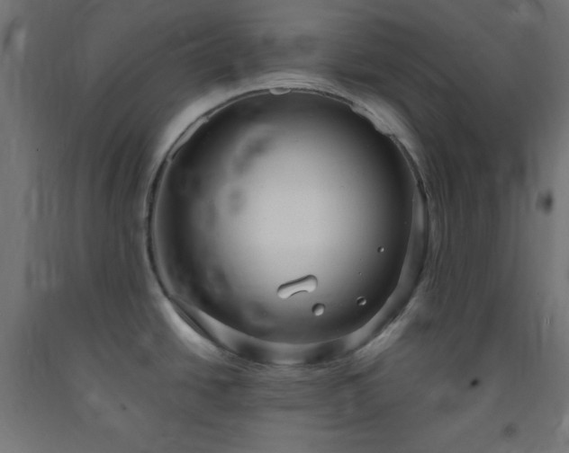 X0000093251438200710031554