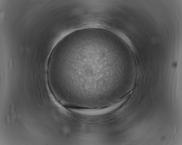 X0000093251439200710031554