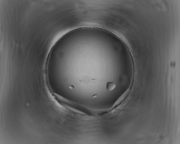 X0000093251440200710031554