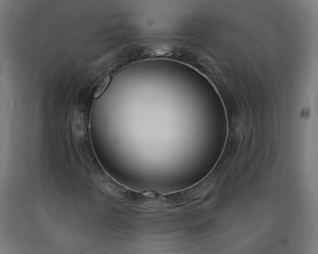 X0000093251442200710031553