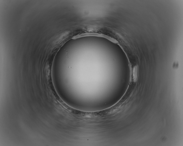 X0000093251443200710031553