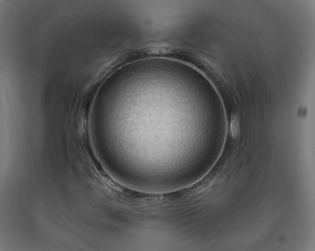 X0000093251444200710031553