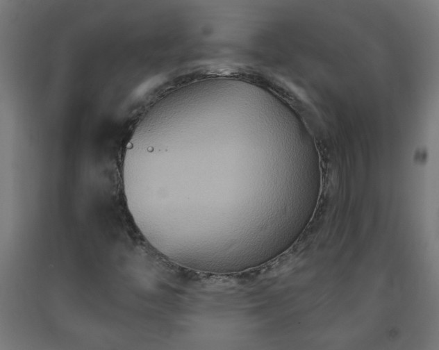 X0000093251446200710031553