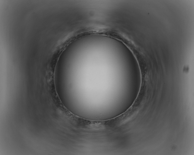 X0000093251447200710031553