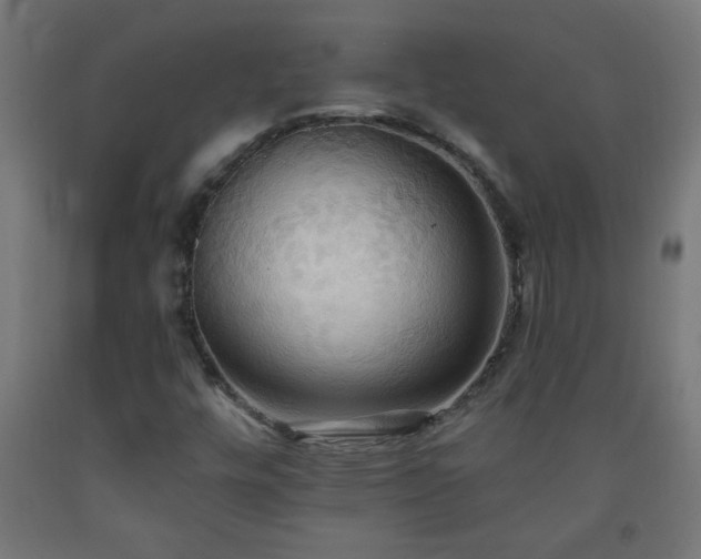 X0000093251448200710031553