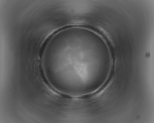 X0000093251449200710031553