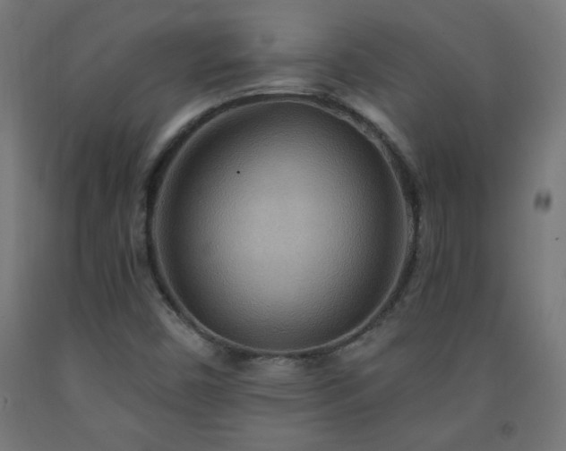 X0000093251450200710031553