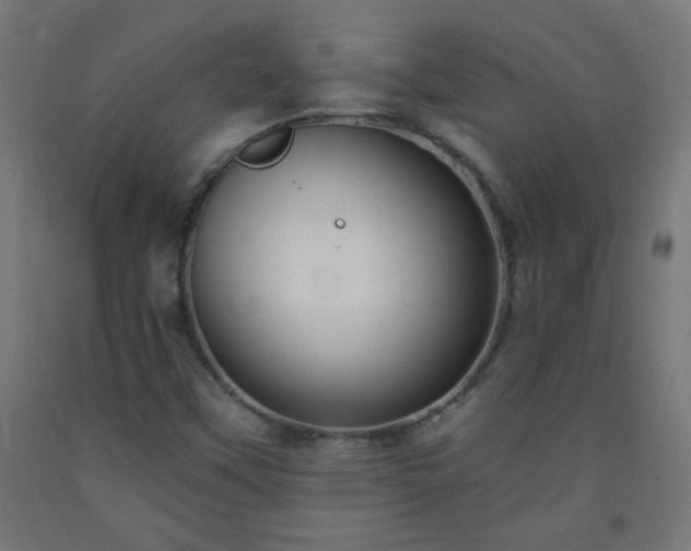 X0000093251451200710031553