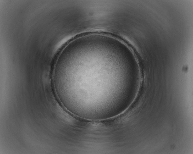 X0000093251452200710031553