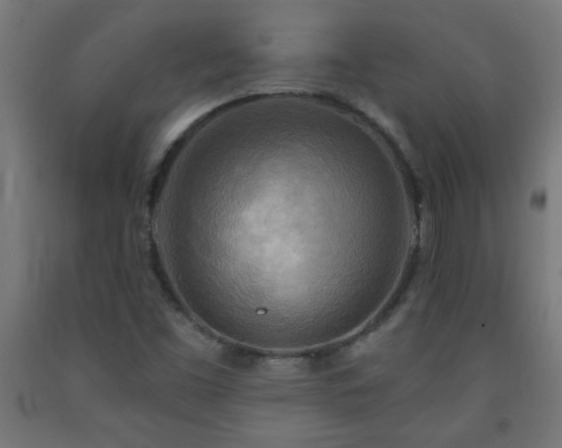 X0000093251453200710031553