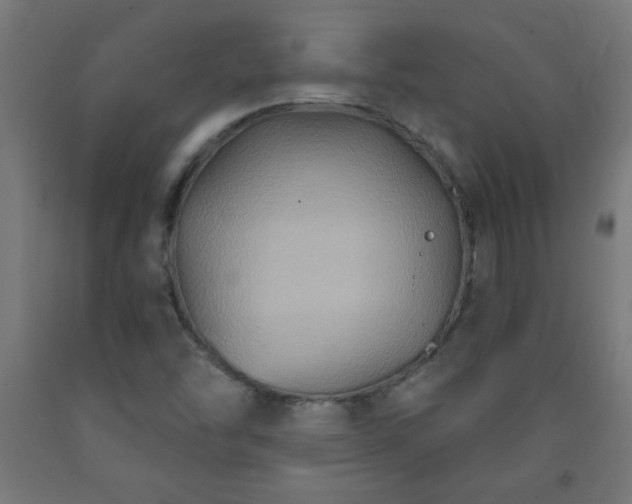 X0000093251454200710031553