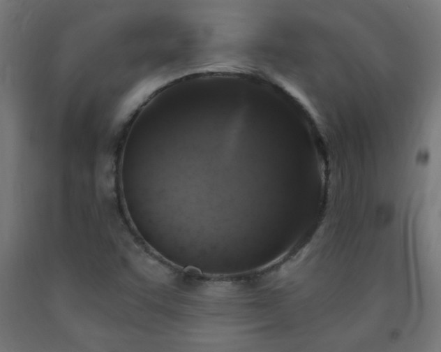 X0000093251455200710031553