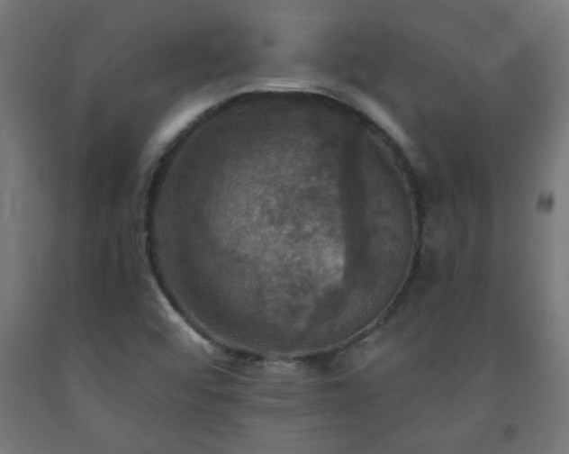 X0000093251456200710031553