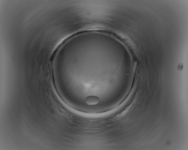 X0000093251457200710031553