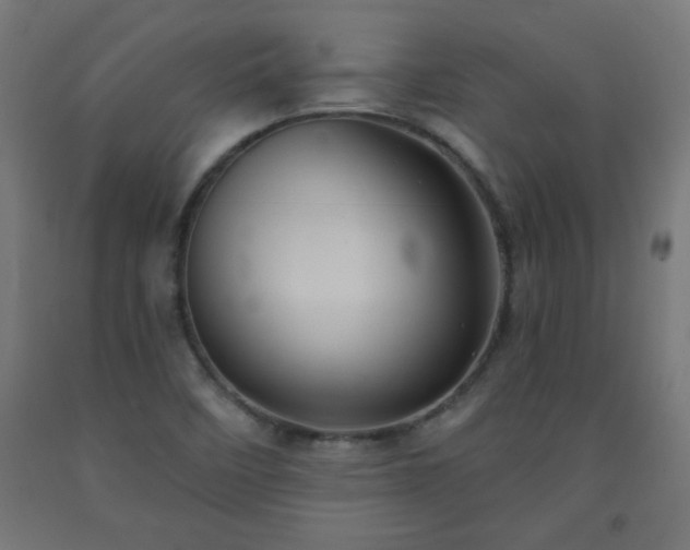 X0000093251458200710031553