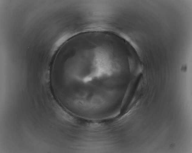 X0000093251459200710031553