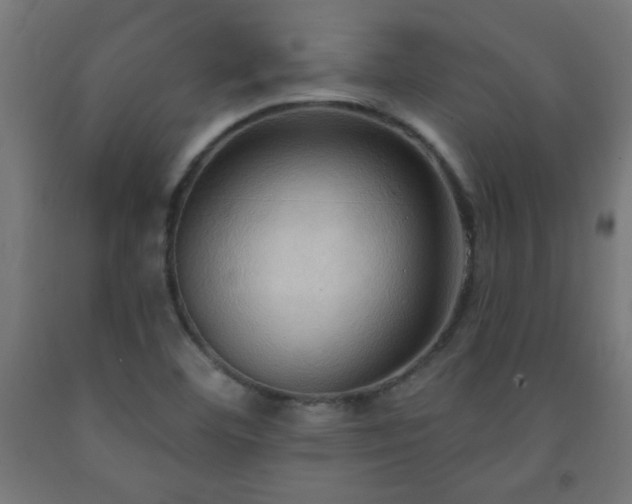 X0000093251460200710031553