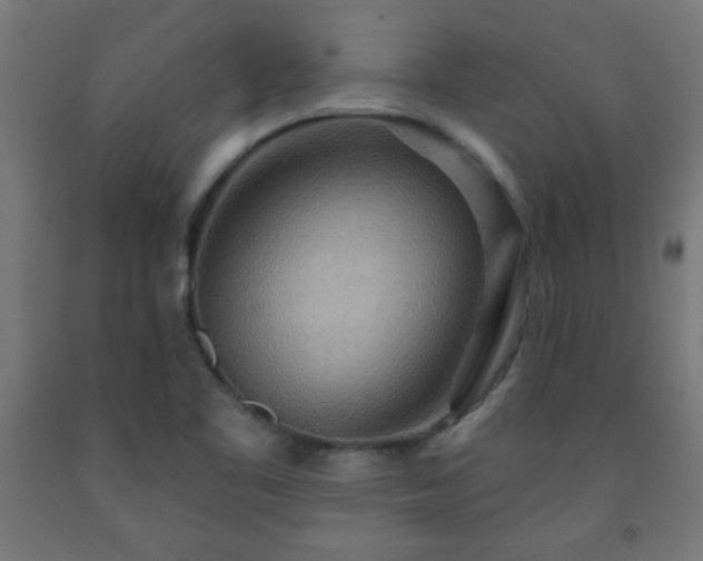 X0000093251461200710031553