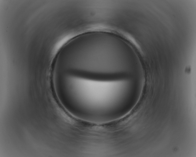 X0000093251463200710031553