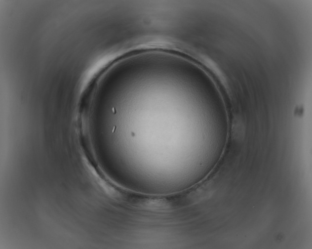 X0000093251464200710031553