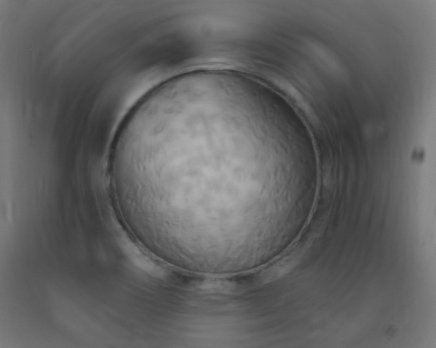 X0000093251466200710031553